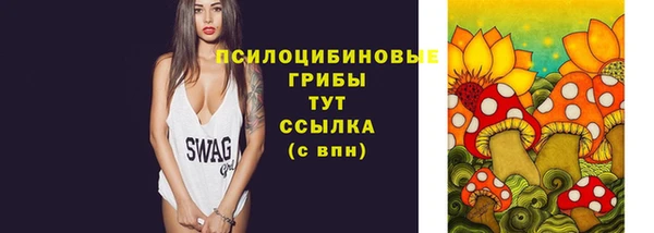 2c-b Медвежьегорск