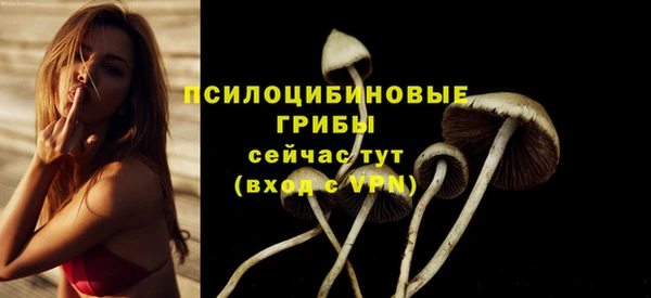 стаф Михайловка