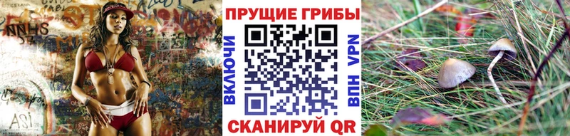 Галлюциногенные грибы MAGIC MUSHROOMS  купить  сайты  Правдинск 